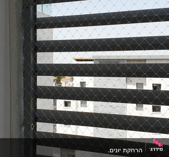רשת מתכת על חלון למניעת כניסת יונים